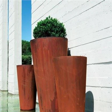 শঙ্কু প্ল্যান্টার