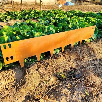 ল্যান্ডস্কেপ এজ বর্ডার