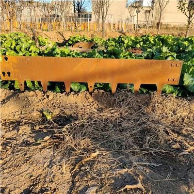 বড় উল্লম্ব বৃত্তাকার প্ল্যান্টার বাগান প্রান্ত