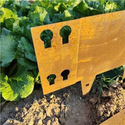 ইস্পাত লন প্রান্ত