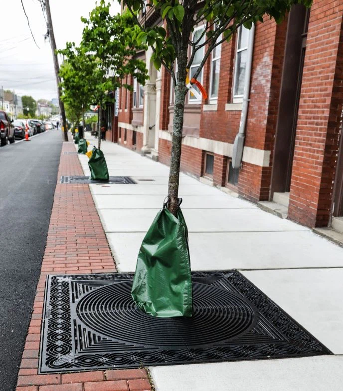 Cast Iron Tree Grates