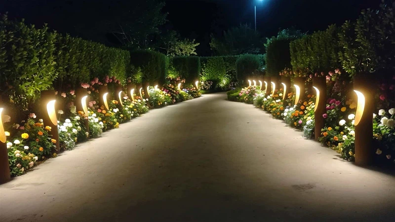 202603161518125153 202603161518125153